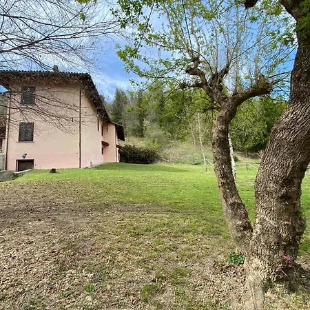 Cascina Bolichin Mentha *